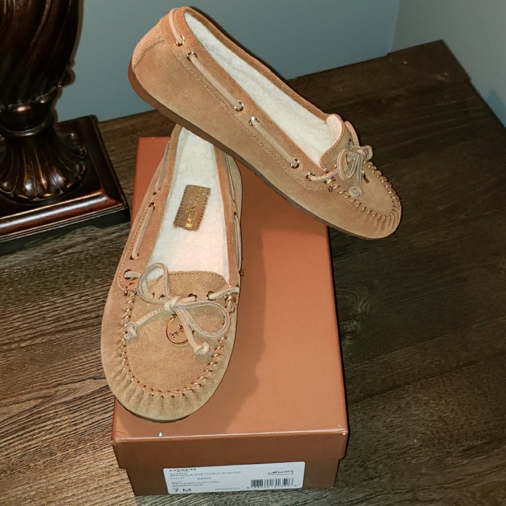 New Coach Antonia Suede Curly Shearling Slipper - Picture 1 of 8